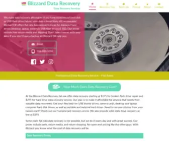 Blizzarddr.com(Data Recovery Service) Screenshot