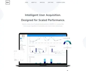 BLkbox.ai(Intelligent User Acquisition) Screenshot