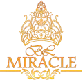 Blmiracle.com.vn Favicon