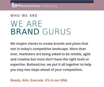 BLMLLC.com(BottomLine Marketing) Screenshot