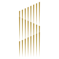 BlocksdXB.com Favicon