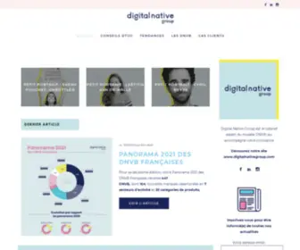 Blog-Digitalnativegroup.com(Cabinet de stratégie opérationnelle spécialiste des Direct To Consumer Brands) Screenshot