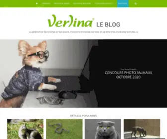 Blog-Verlina.fr(Blog Verlina) Screenshot