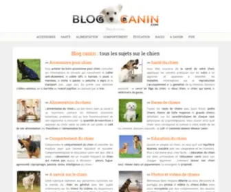 Blogcanin.com(Blog du chien) Screenshot