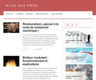 Blogdespros.fr(Blog des pros) Screenshot