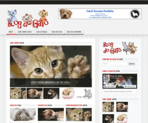 Blogdogato.com.br(Blog do gato) Screenshot