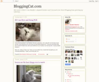 Bloggingcat.com(BloggingCat) Screenshot