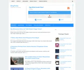 Blogpedia.us(Tempat Asik Cari Informasi) Screenshot