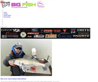 Blogpescuit.ro(Blog Pescuit BigFish) Screenshot