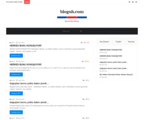 Bloguh.com(News & Information For Business Professionals) Screenshot