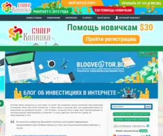 BlogVestor-Bonus.ru(BlogVestor Bonus) Screenshot