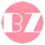 Blogzina.com Favicon