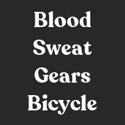 Bloodsweatgearslkn.com Favicon