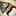 Bloodsweatsawdust.com Favicon