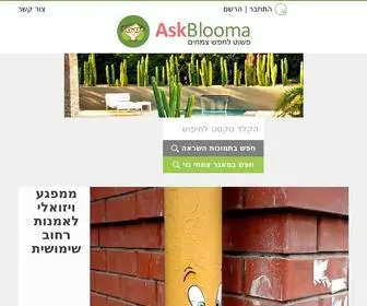 Blooma.co.il(בלומה) Screenshot