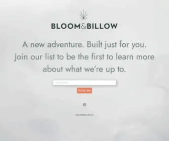 Bloom & Billow