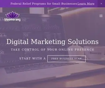 Bloomerang.solutions(Bloomerang Solutions) Screenshot