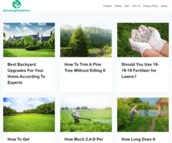 Bloomingfieldsfarm.com(Blooming Fields Farm) Screenshot