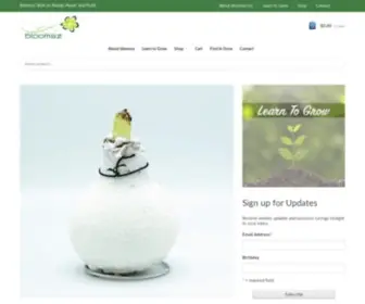 Bloomsz.com(Smaller Footprint) Screenshot