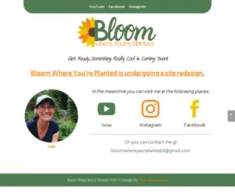 Bloomwhereyourplanted.com(Urban Farming and Homesteading) Screenshot