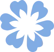 Blossomvalleysmiles.com Favicon