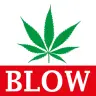 Blow-CBD.ch Favicon