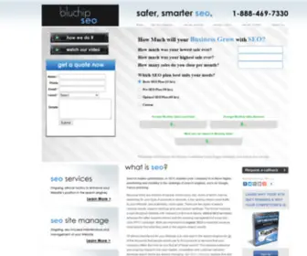 Bluchipseocompany.com(Blu Chip SEO) Screenshot