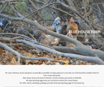 Blue-House-Farm.com(BLUE HOUSE FARM) Screenshot