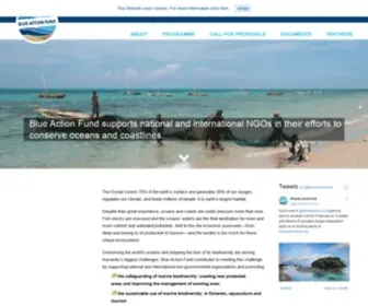 Blueactionfund.org(Blue Action Fund) Screenshot