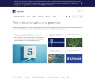 Bluebay.com(Fixed Income Specialist) Screenshot