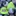 Blueberryfiles.com Favicon