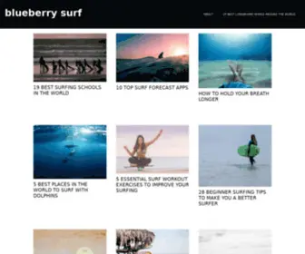 Blueberrysurf.com(Blueberry Surf) Screenshot