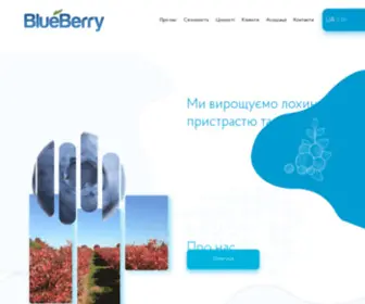 Blueberry.ua(Blue Berry) Screenshot