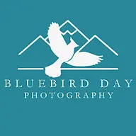 Bluebirddayphoto.com Favicon