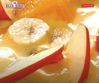 Bluebirdindia.com(Blue Bird) Screenshot