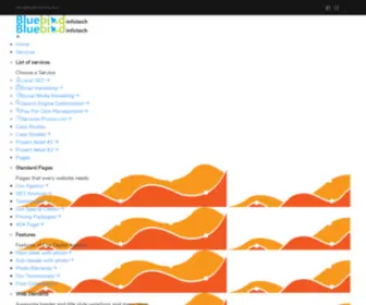 Bluebirdinfotech.in(BlueBird InfoTech) Screenshot
