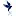 Bluebirdseasons.com Favicon