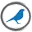 Bluebirdsportandspine.ca Logo