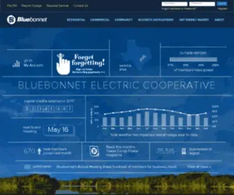 Bluebonnet.coop(Bluebonnet Electric Cooperative) Screenshot