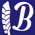 Bluebonnetfundraising.com Favicon