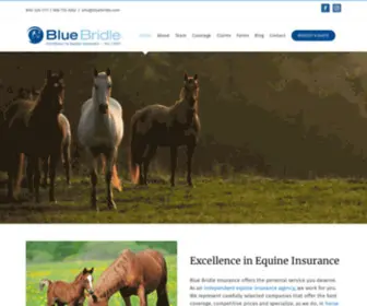 Bluebridle.com(Blue Bridle Insurance) Screenshot