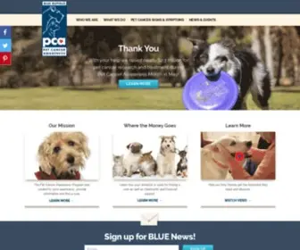 Bluebuffalofoundation.org(Pet Cancer Awareness and Blue Buffalo (formerly Blue Buffalo Foundation)) Screenshot