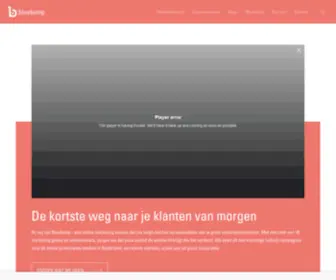 Bluebump.nl(Online Marketing Bureau) Screenshot