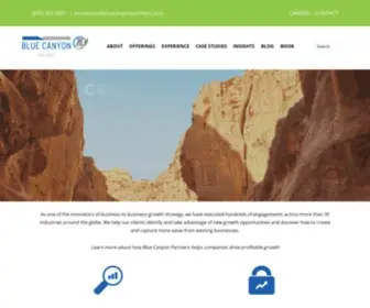 Bluecanyonpartners.com(Blue Canyon Partners) Screenshot