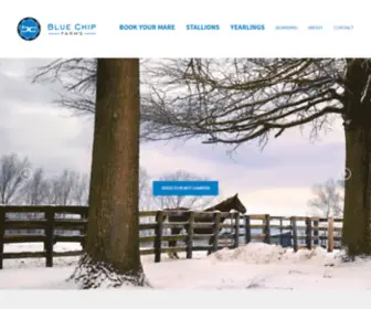 Bluechipfarms.com(Blue Chip Farms) Screenshot