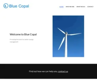 Bluecopal.com(Blue Copal) Screenshot