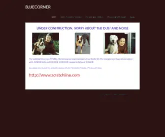 Bluecorner.com(BLUECORNER) Screenshot