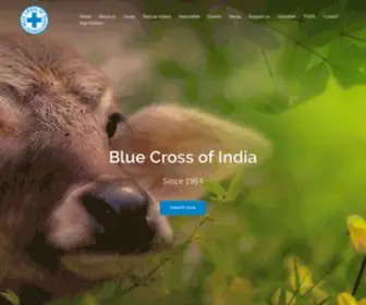 Bluecrossofindia.org(Blue Cross of India) Screenshot
