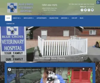 Bluecrossvethospital.com(Veterinarian in Long Beach) Screenshot