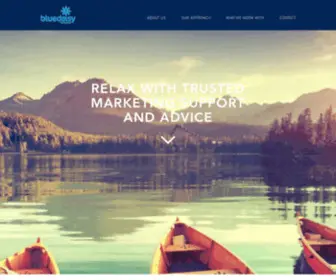 Bluedaisymarketing.co.uk(Marketing support to software vendors and consultancy organisations) Screenshot